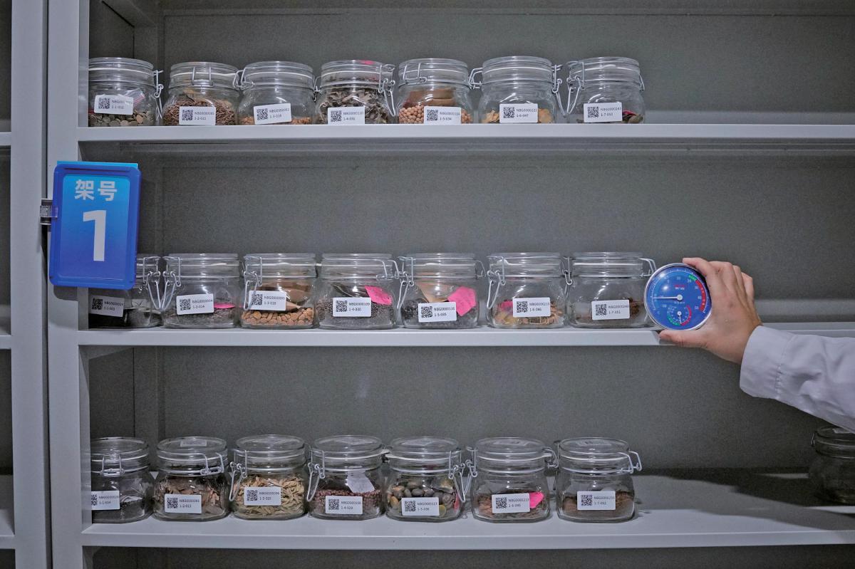 国家植物种质资源库项目计划2026年年底运营 如何把种子存进植物“诺亚方舟”?