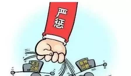 中央巡视组主要巡视领导干部的六大纪律方面的问题。巡视组紧盯领导干部的行为