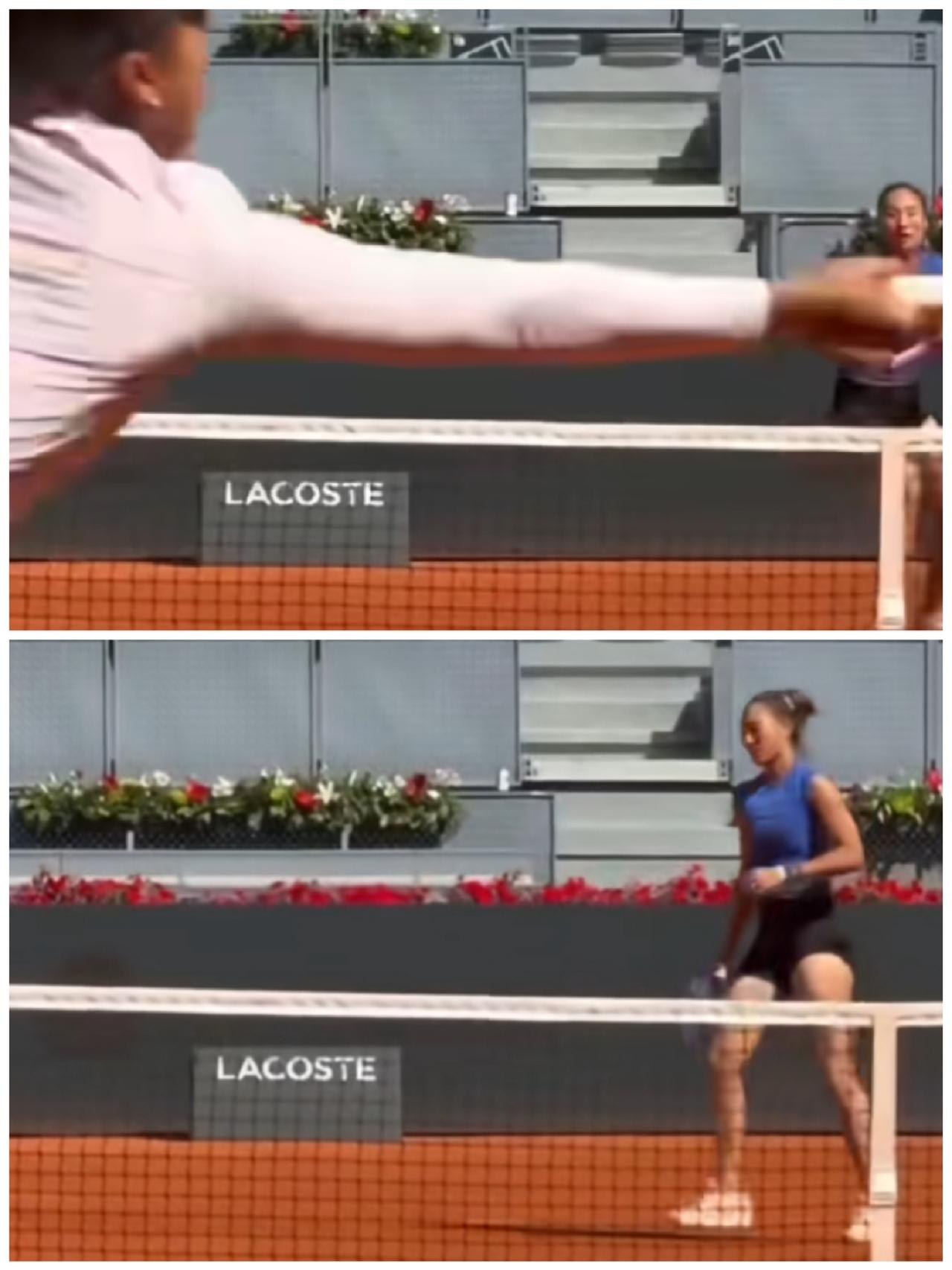 2026跟着网球🎾环游世界WTA1000马德里公开赛郑钦文和大满贯