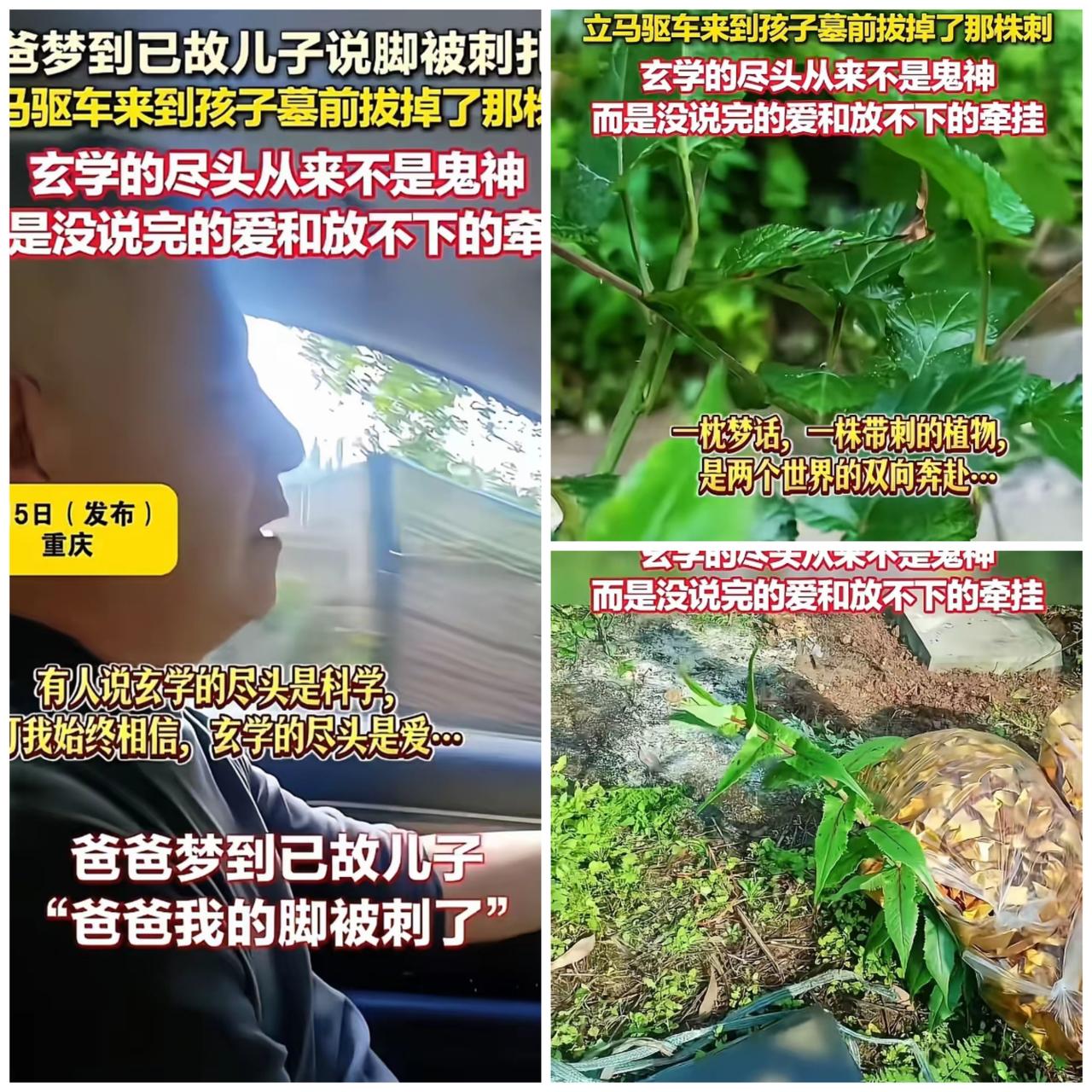 太离奇了！爸爸梦到已故儿子说脚被刺扎了，立马驱车来到孩子墓前，眼前的一幕让人惊呆