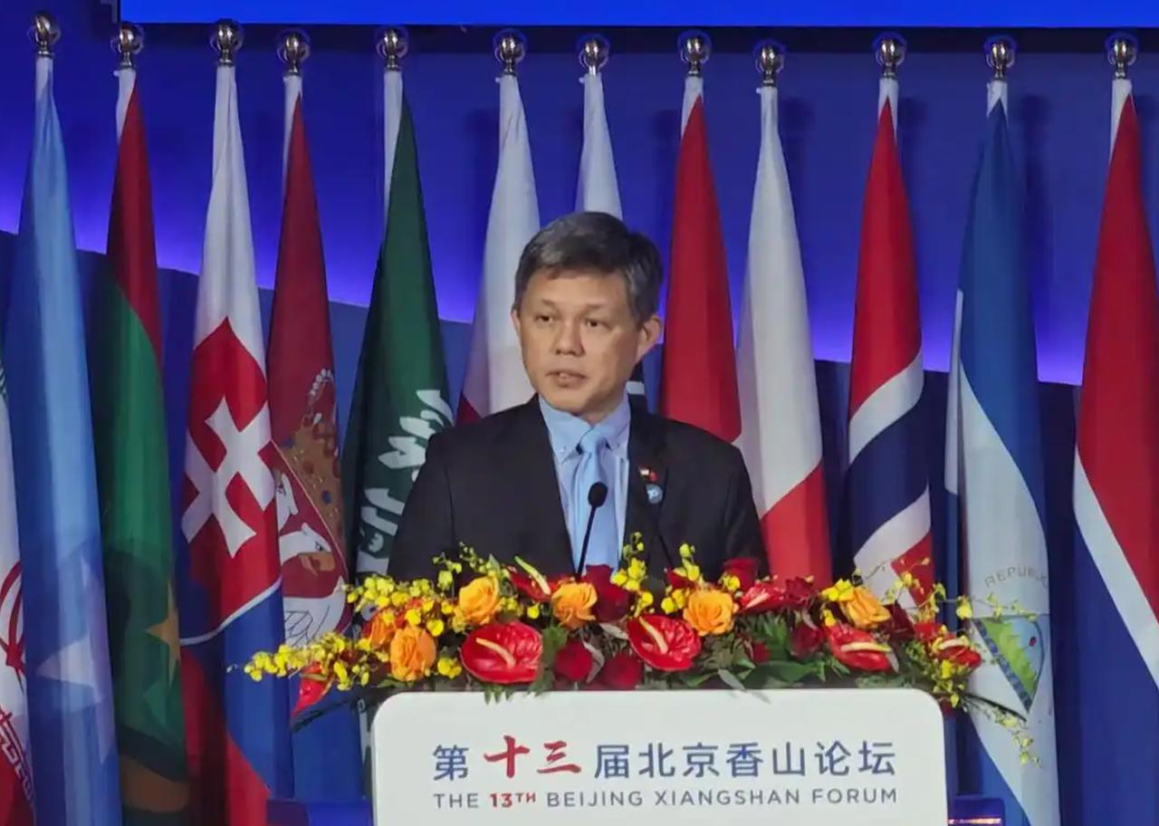 站在中国的领土上，新加坡防长张口就要求中国：大事化小、小事化了！这两天，第