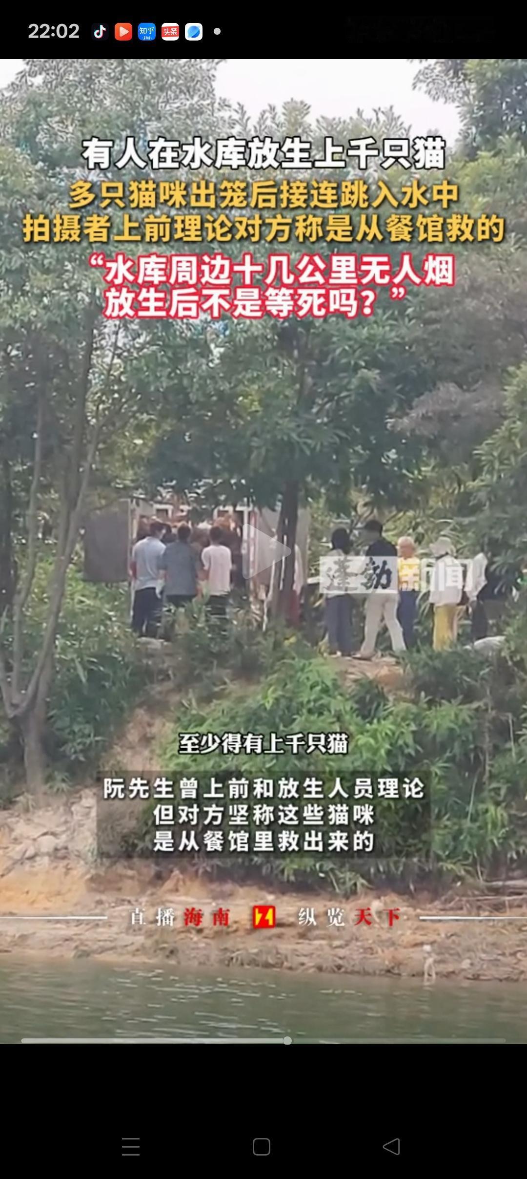 “这也能叫放生？”，广东，有好心人在水库放生了1000多只猫，很多猫咪受惊直接跳