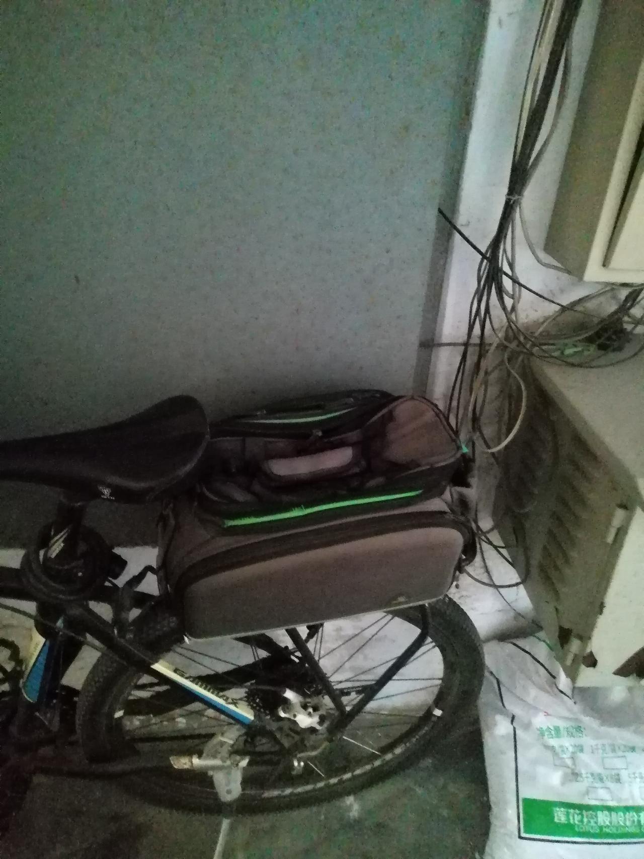 昨天下午上班时听到楼道管道井里传来小猫咪的声音，以为是猫咪进去出不来了，管道井口