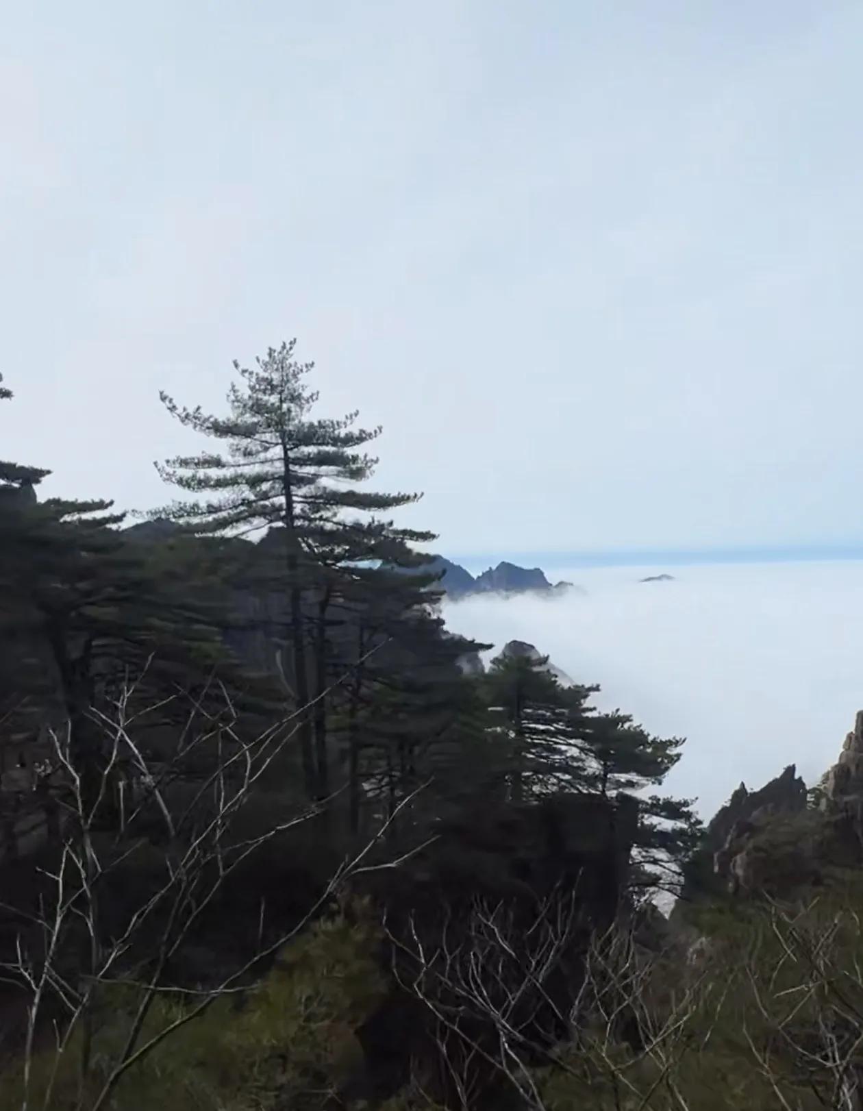 欣赏今日的黄山云海，仿佛进入了仙境。“五岳归来不看山，黄山归来不看岳。”黄