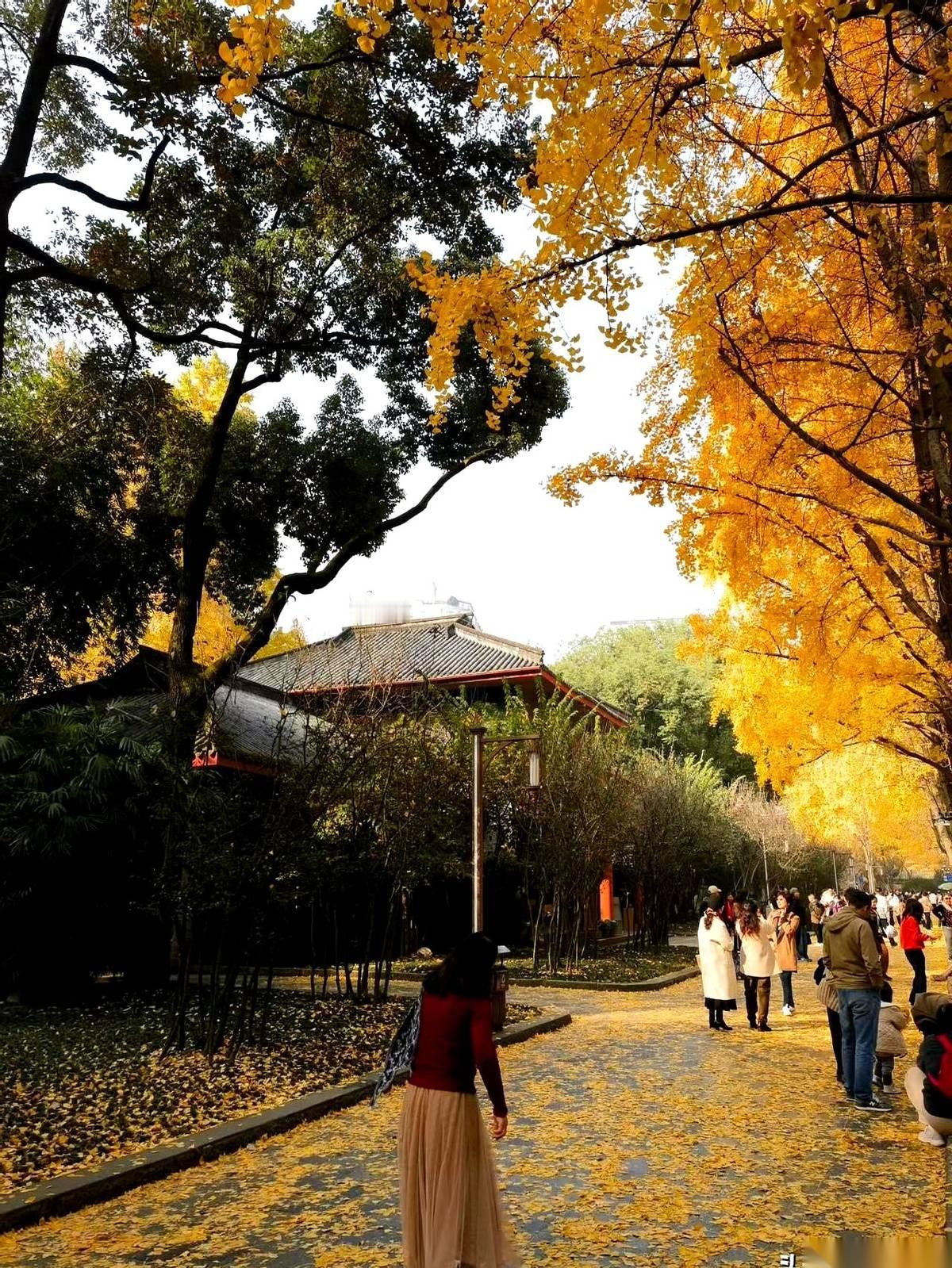 我算是看明白了，花大几千买的那些瓶瓶罐罐，最后都顶不过踏踏实实睡个好觉。真的，