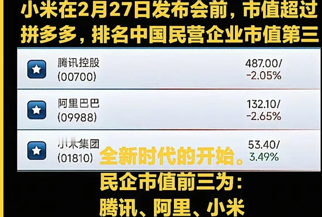 小米市值攀升到中国民营企业第三。然而我不禁要问，代价是什么？我还要追问，小米的核