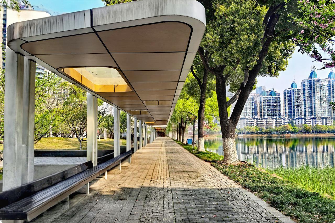 武汉西北湖公园的季节之魅在这流转的季节，似梦的诗笺，武汉西北湖公园，美若天仙。