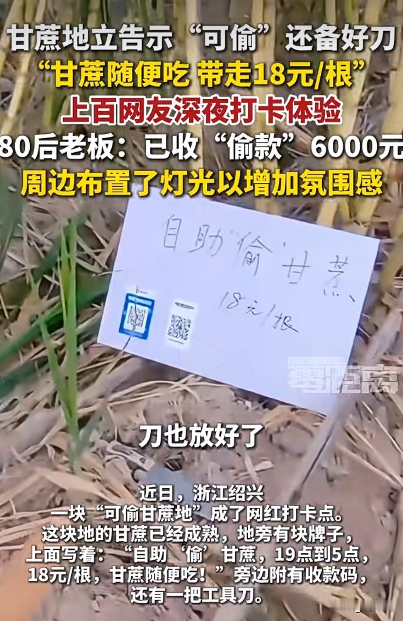 80后老板人也怪好的，“自助‘偷’甘蔗，19点到5点，18元/根，甘蔗