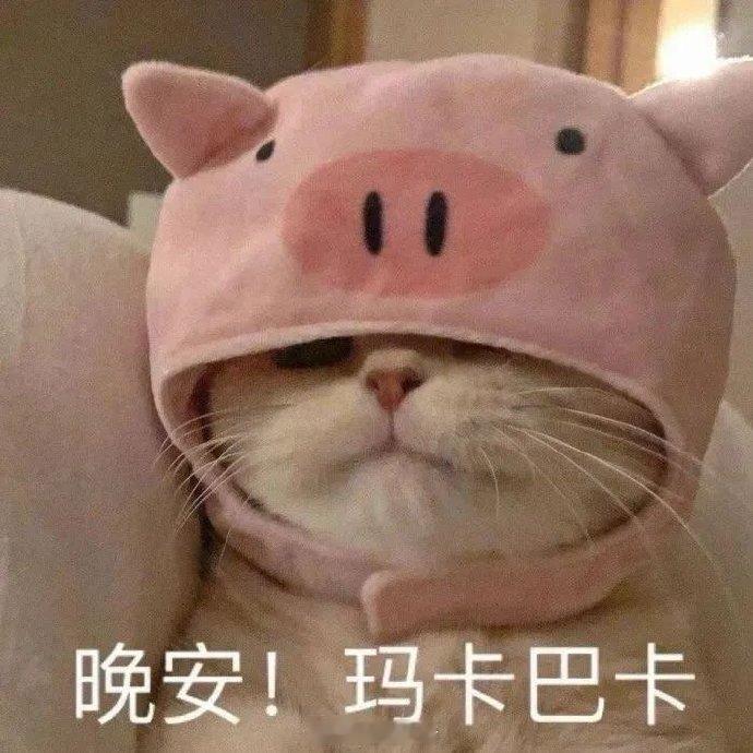 聊天必备表情包第713弹喵星人必备表情包​​​（拿图吱声）​​​