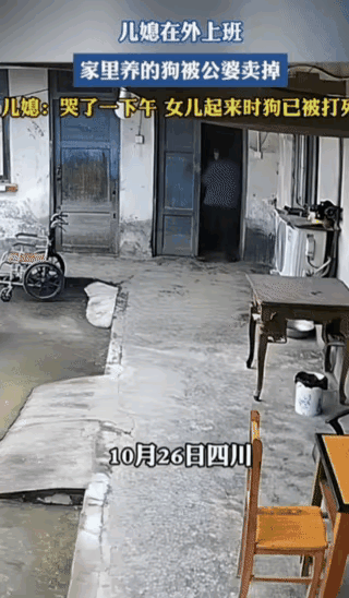 太可怜了！一位小姐姐养了一只狗狗，平时狗狗特别听话，看家护院都很尽心，她也非常喜