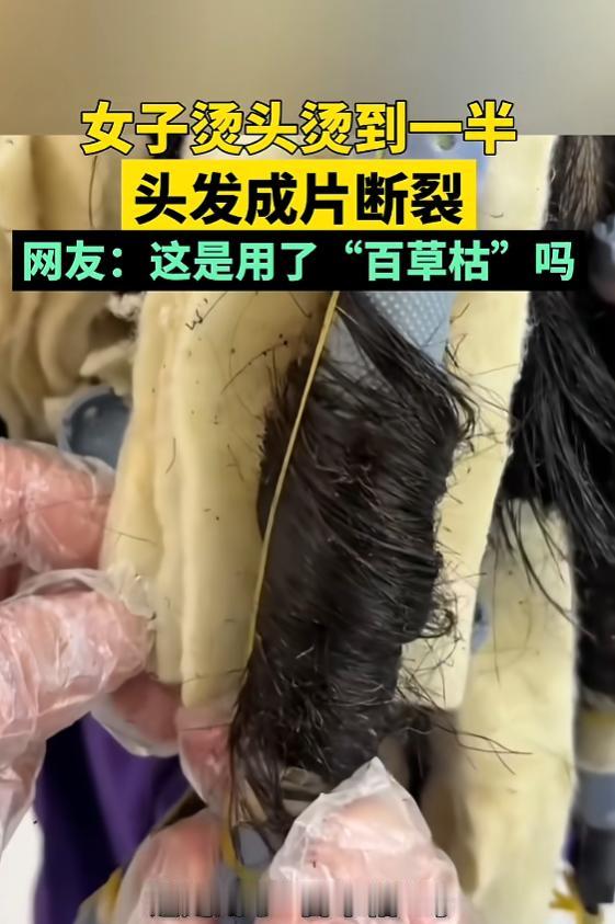 “太吓人了！”7月11日报道，河北，一女子很爱美，她精心留了一头长发，去理发店想