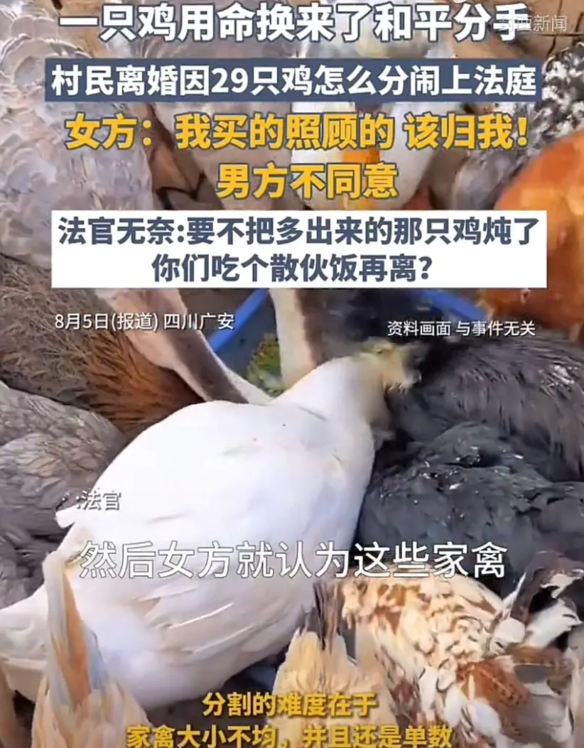 夫妻俩闹离婚，要求法院分割29只鸡、22只鹅和2只鸭子。因平均分配多出一只鸡，双