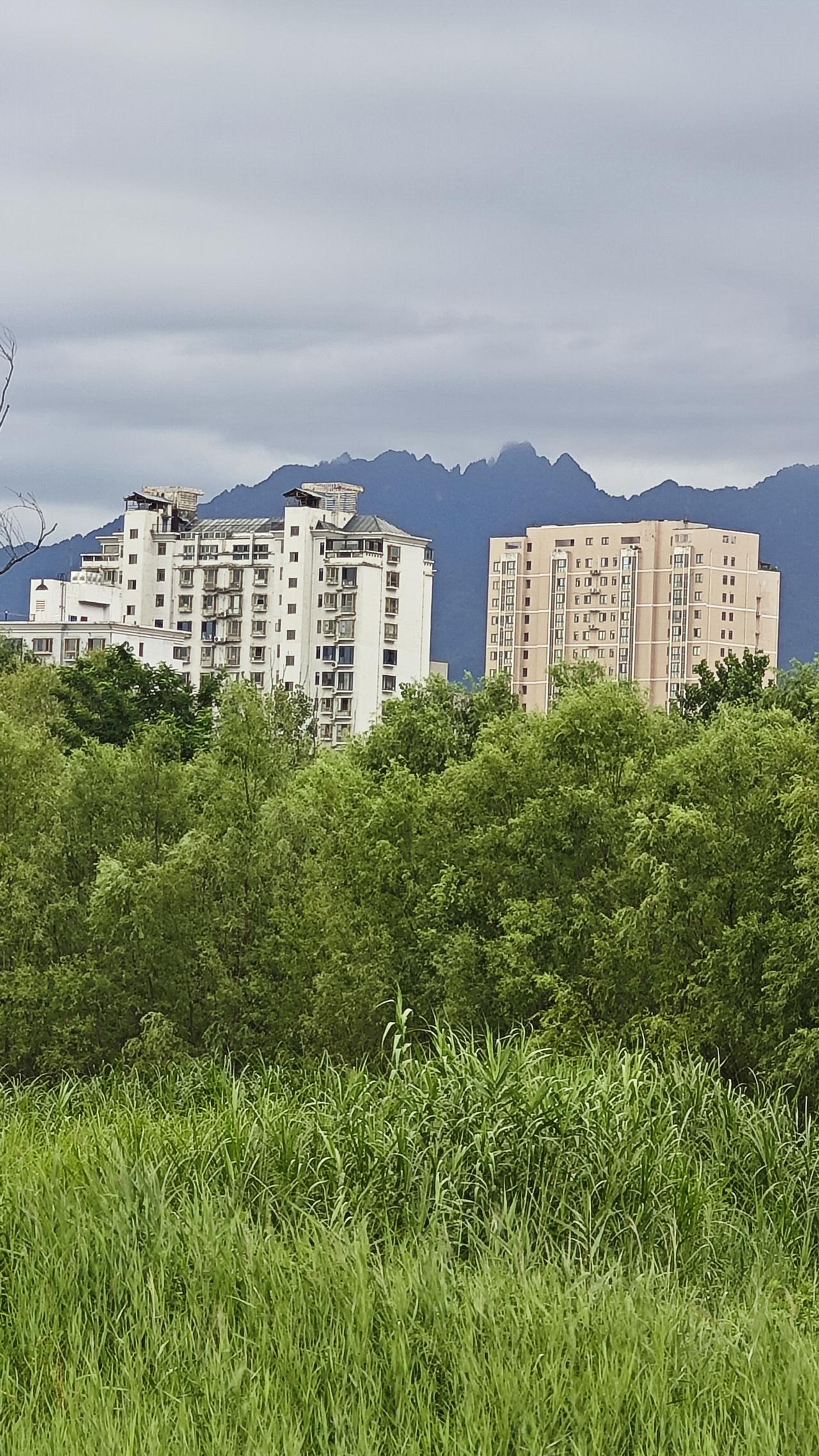 昨天的那点雨不大却降去了那份燥热。今早儿空气清新，走在公园微风吹过，空气中有股青