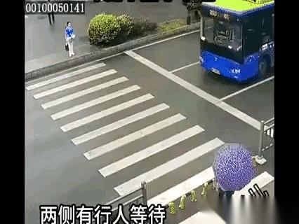 公交车司机一脚刹车踩死，稳稳当当停在斑马线前。他旁边那条道，一辆白色小车理都没