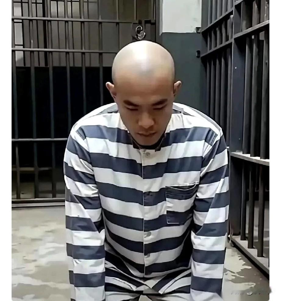 小金毛的二审通知书正式下发了：该案于2026年1月13日在肃宁县人民法院不公开