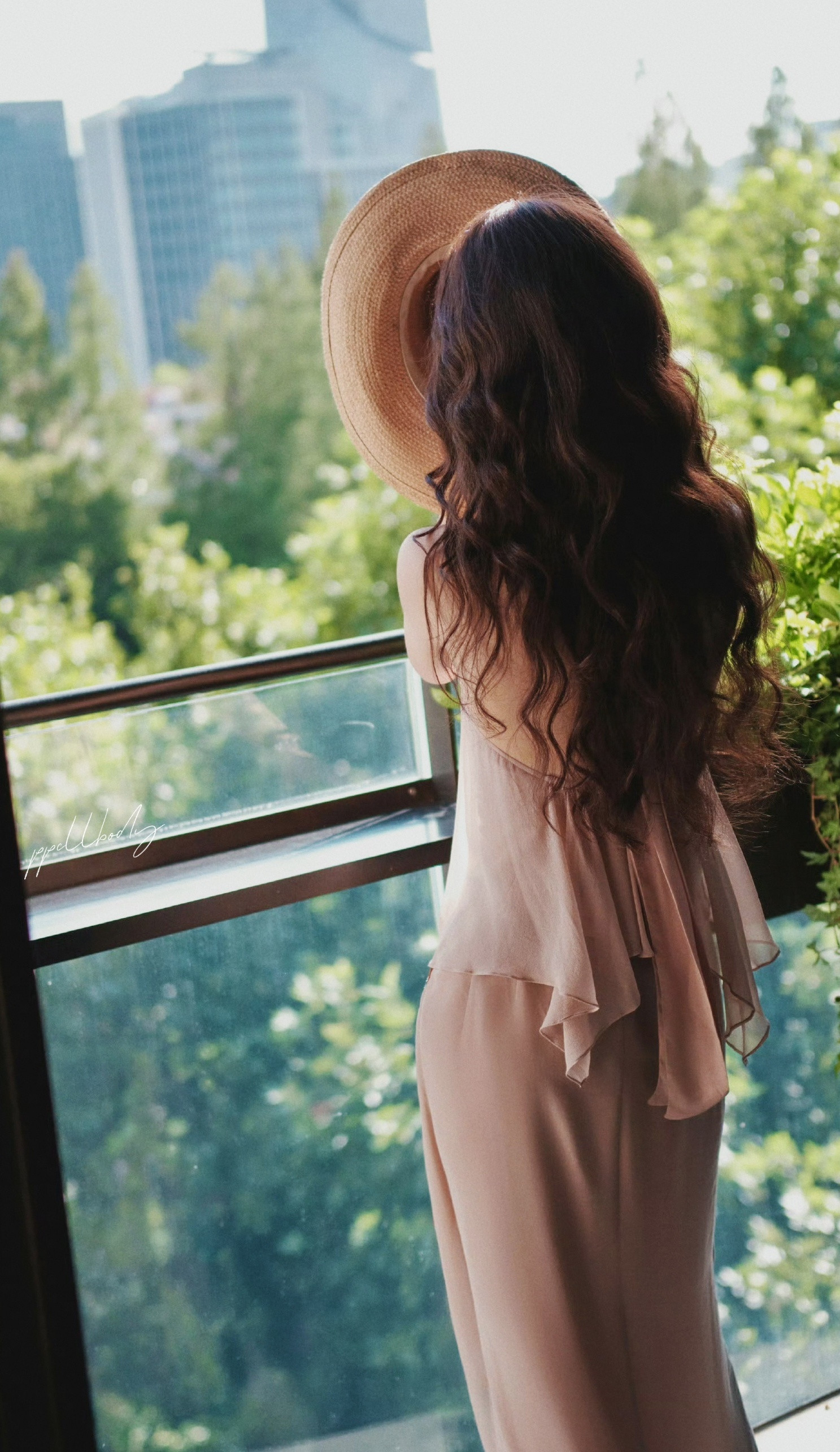 👒💛日光温柔