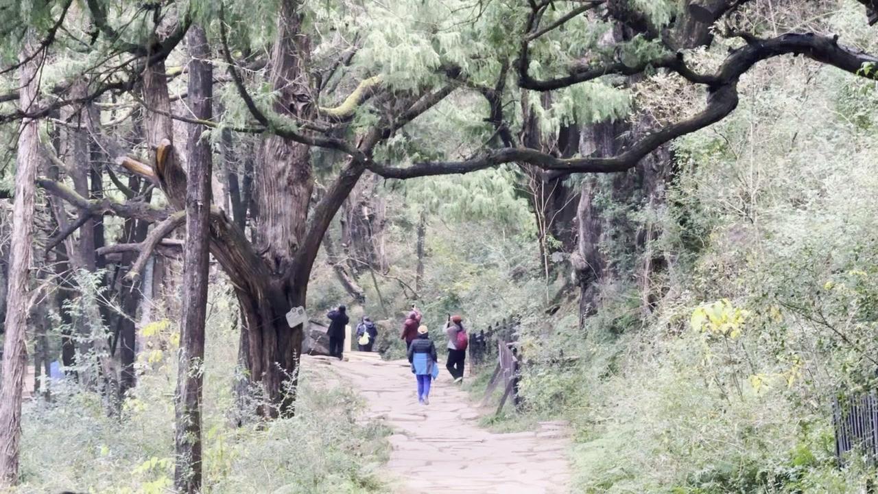 周末去了趟广元拦马墙，真的被这条千年古蜀道惊艳到了！从宝鸡出发直接导航古蜀道