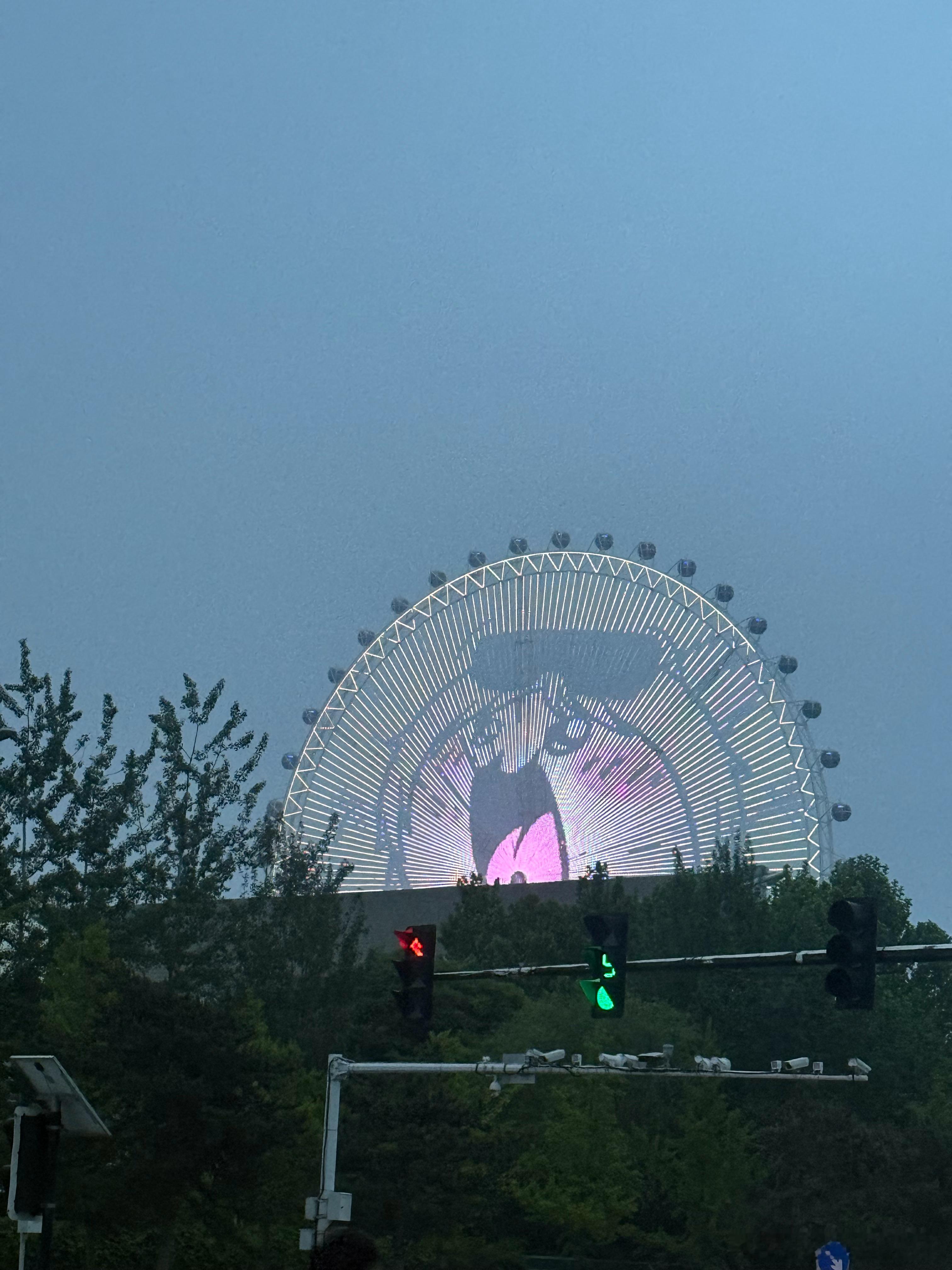 大宝宝大宝宝