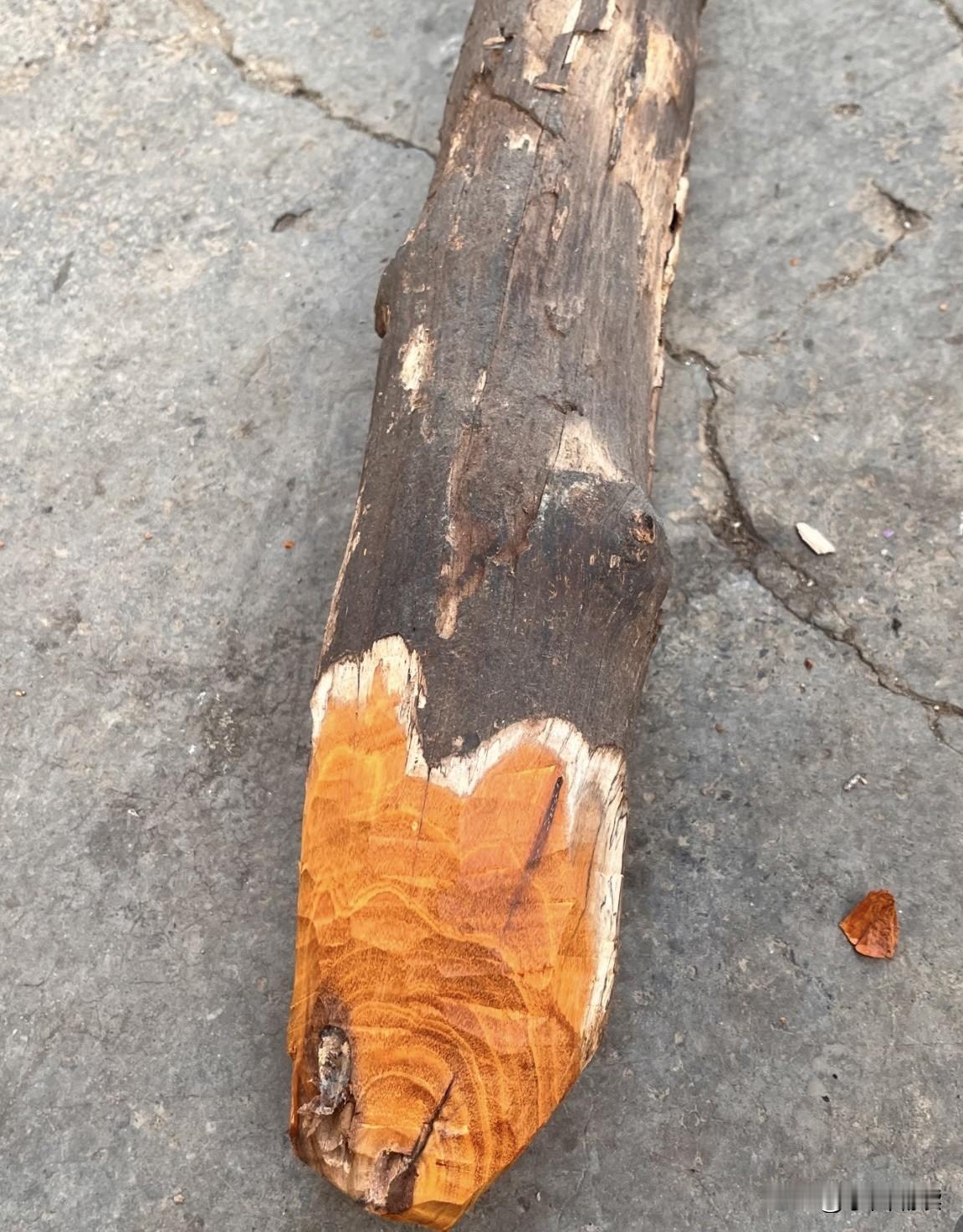 大家看看，这是传说中的金丝楠木吗？我是不是要发大财了啊，懂行的朋友帮忙估估价吧！