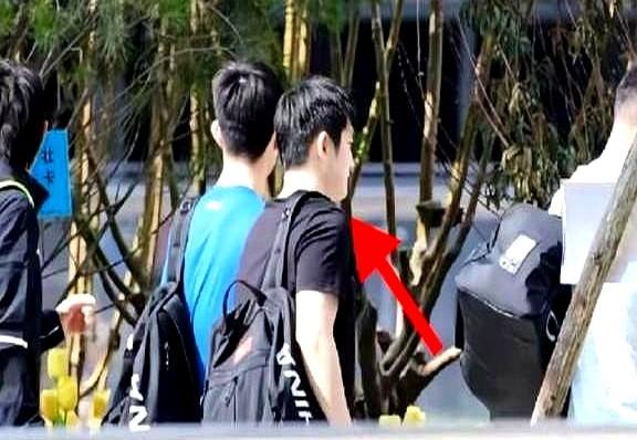 樊振东走了，去德国打球了，可让人意想不到的是，才去了仅仅不到10天，他又