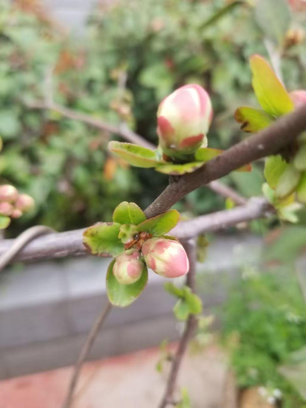 去闺蜜家串门后，我发现她家的一个待客之道值得我学习和借鉴。去闺蜜家串门，进门