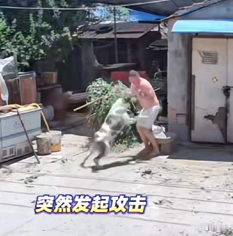 哪个养狗的说他们家狗不咬人？纯属放屁！7月11日，一位网友曝光自家一段监控视