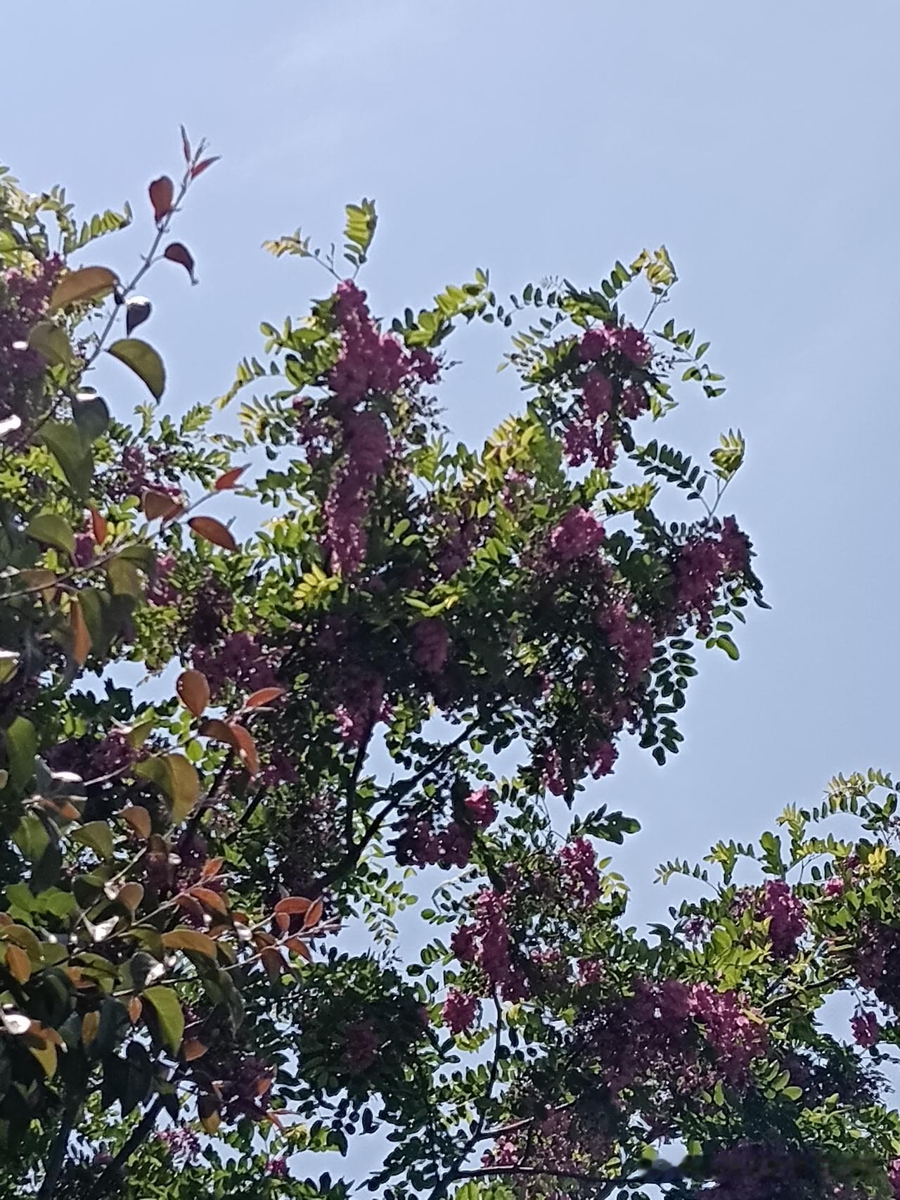 退休十大圈子，你在哪个圈？1、钓鱼圈2、麻将圈3、跑步圈4、合唱团圈
