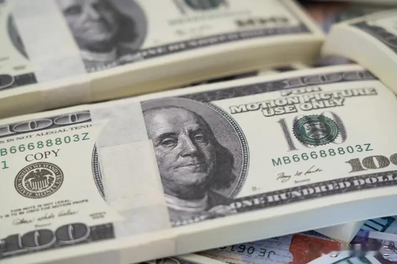 吃过苦后，我明白了钱真的很重要。曾经我挥霍无度，觉得赚钱容易。直到遭遇失业，交不