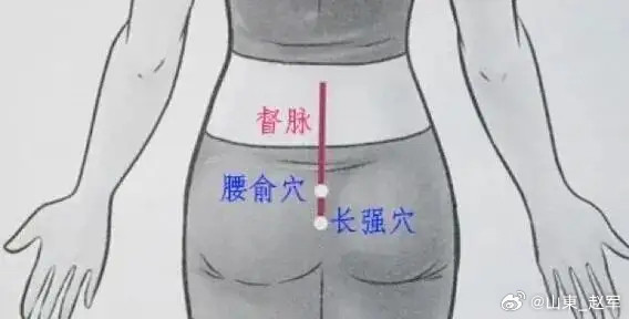 屁股上的“阳气开关”，一按就精神！好处多到数不过来！是不是经常出现这样的情况：早
