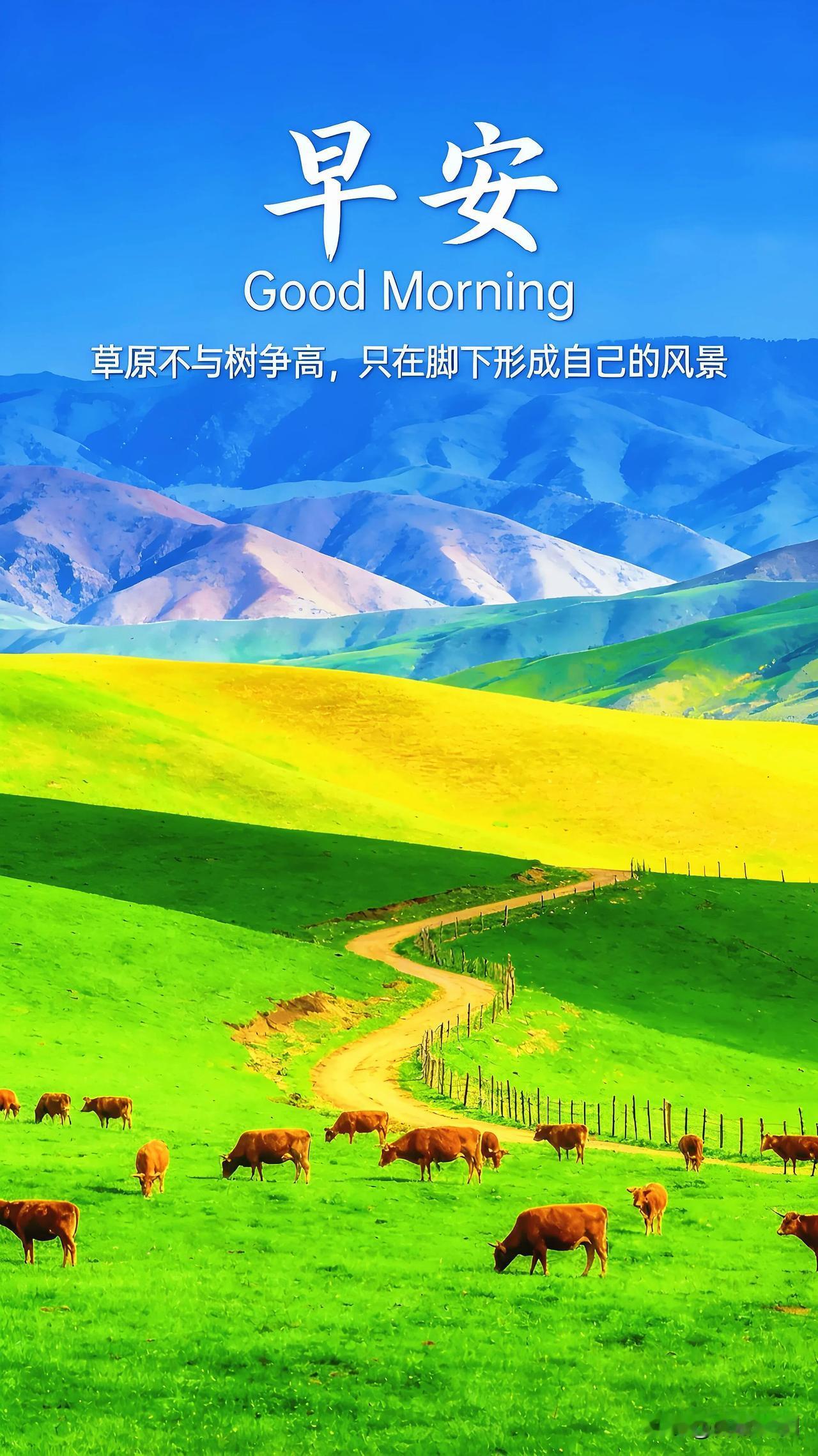 花开正好，微风不燥，带着微笑和期待，开启元气满满的一天，早安。