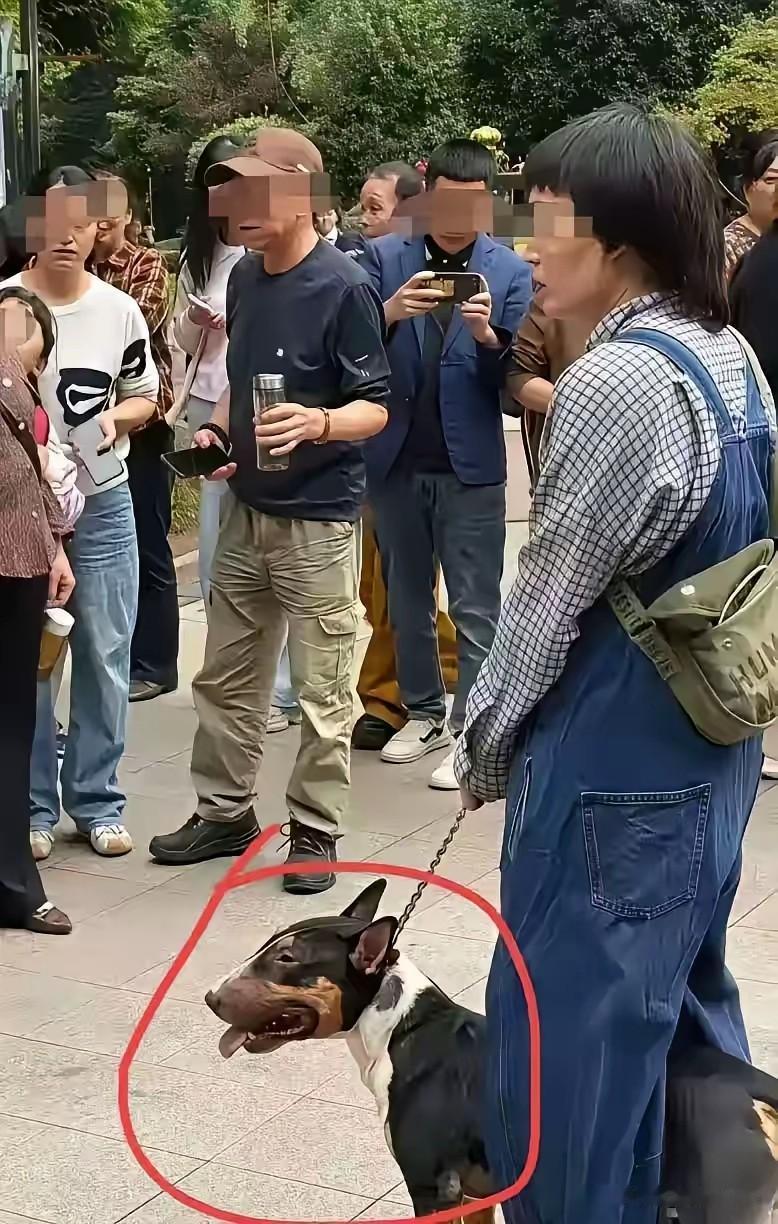 从照片上，看四川峨眉有人狗的狗主并不年轻了，脸上胶原蛋白流失严重，颧骨突出，两腮