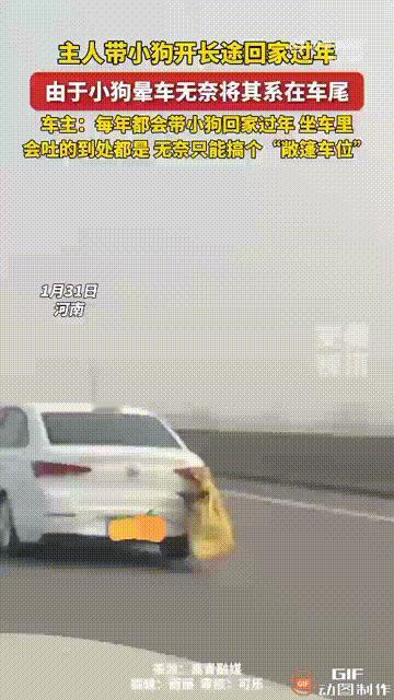 挺感动的！河南一名男子全家人要开车回老家过年，但养了多年的小狗，每次坐车都会呕吐