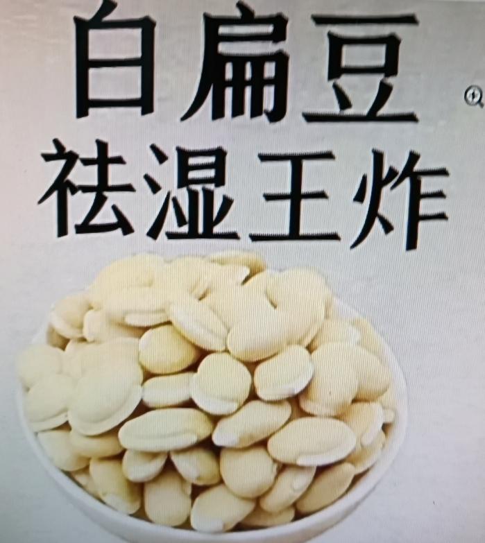 最近网上疯传白扁豆煮水喝12天能瘦18斤，还能养脾胃不反弹，这真有这么神奇吗？