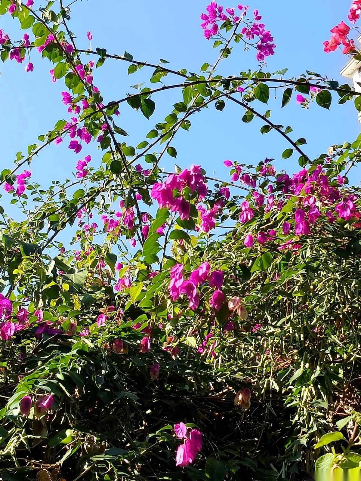 我那个做轻钢别墅的堂哥，最风光的时候，一年刨去所有开销，净往口袋里揣60多万。