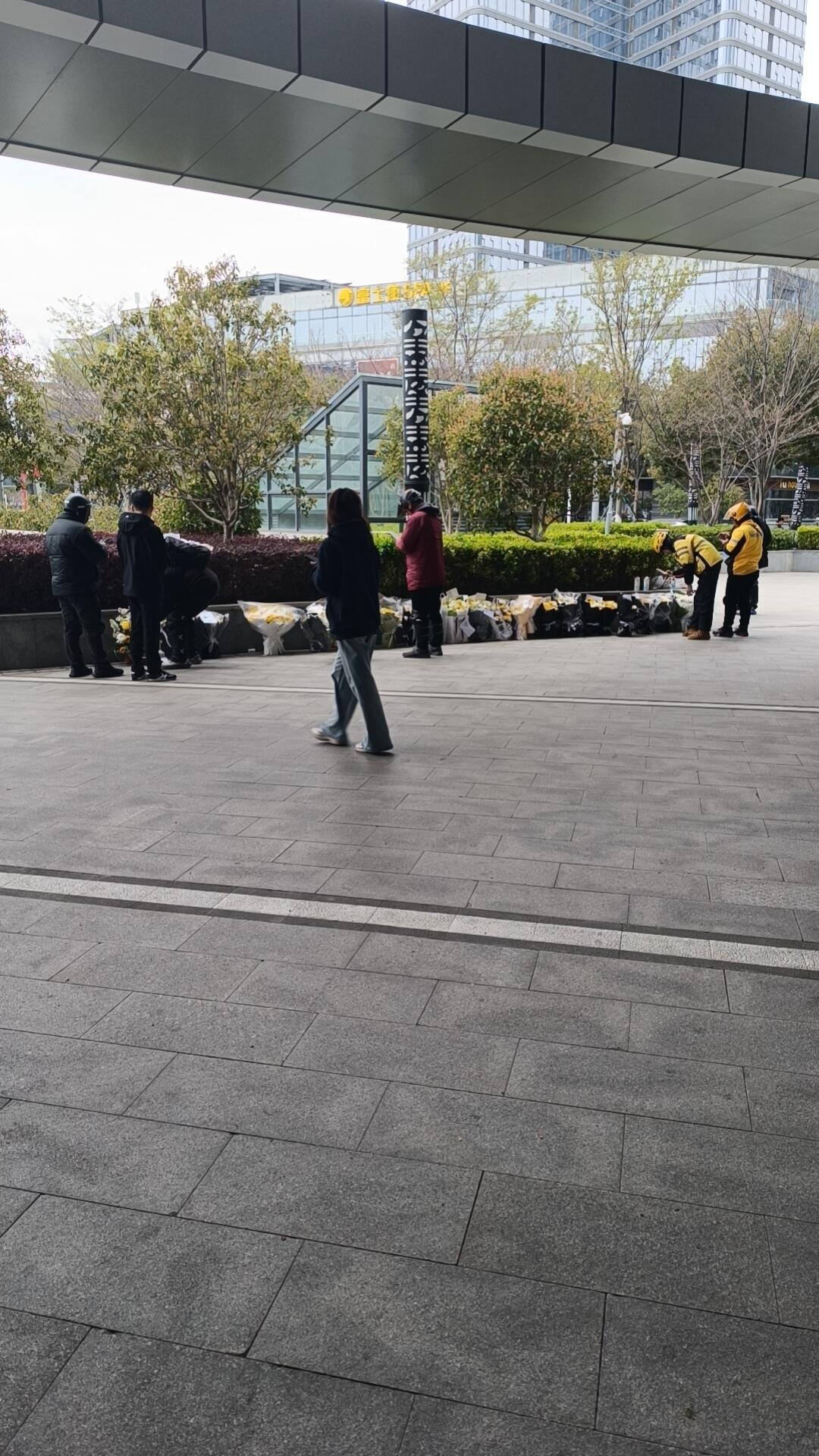 这两天，张雪峰公司楼下的那片花海，看得人心里又暖又酸。黄白菊花铺满了苏州峰学