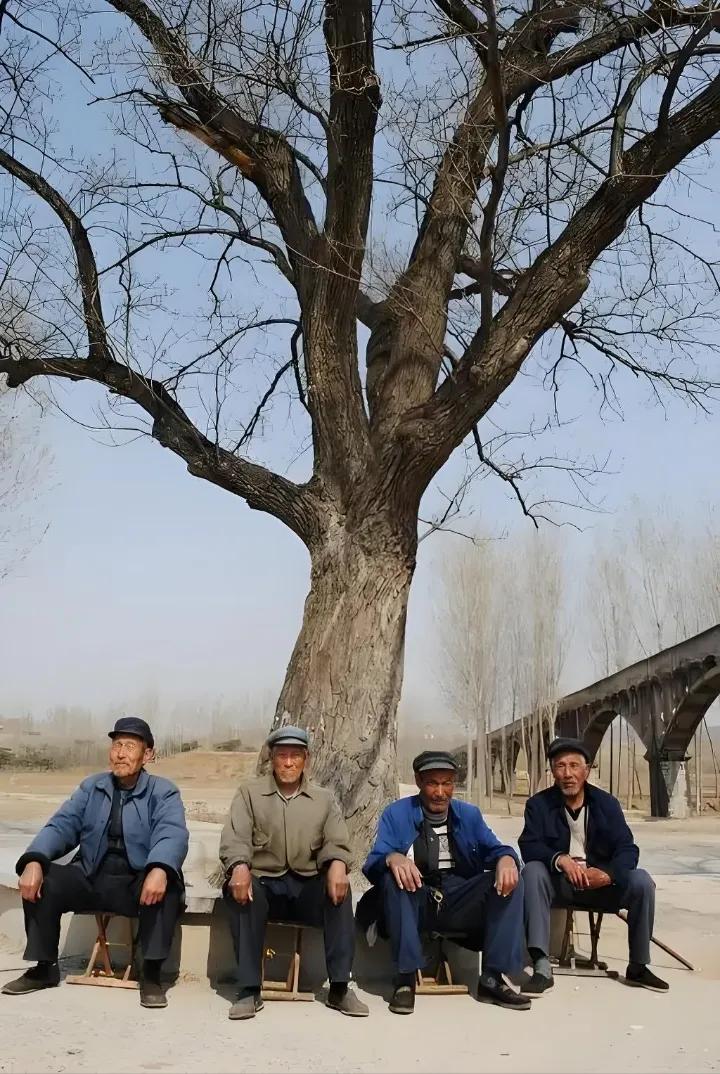 光阴似箭急匆匆，年年岁岁不相同，昨日小哥今已老，……请友续句……？上联