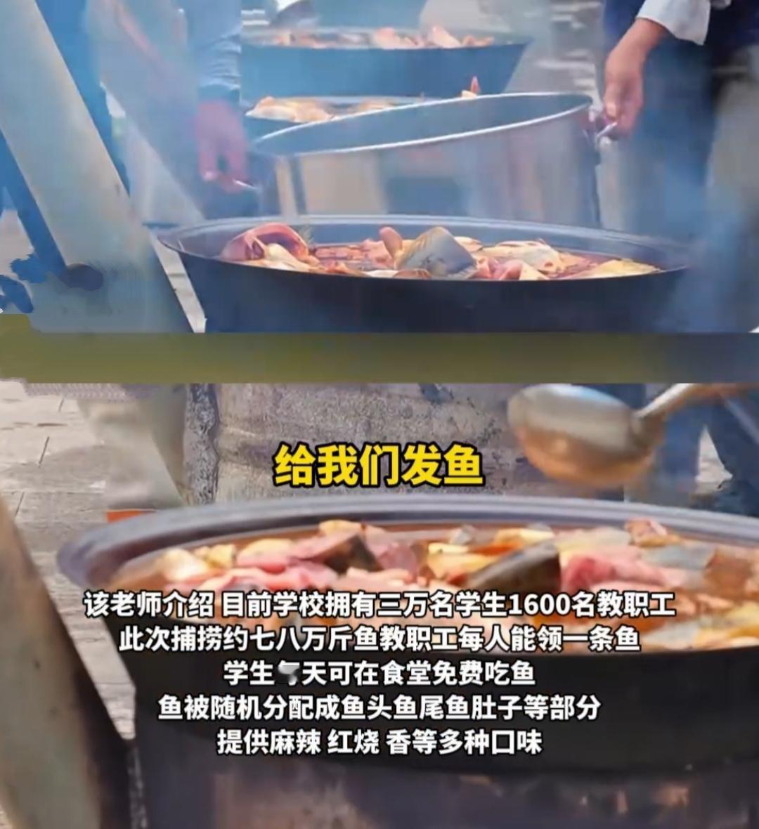 山东“神仙高校”再放福利！8万斤湖鱼宴连开10天，师生吃到爽山东外事职业大