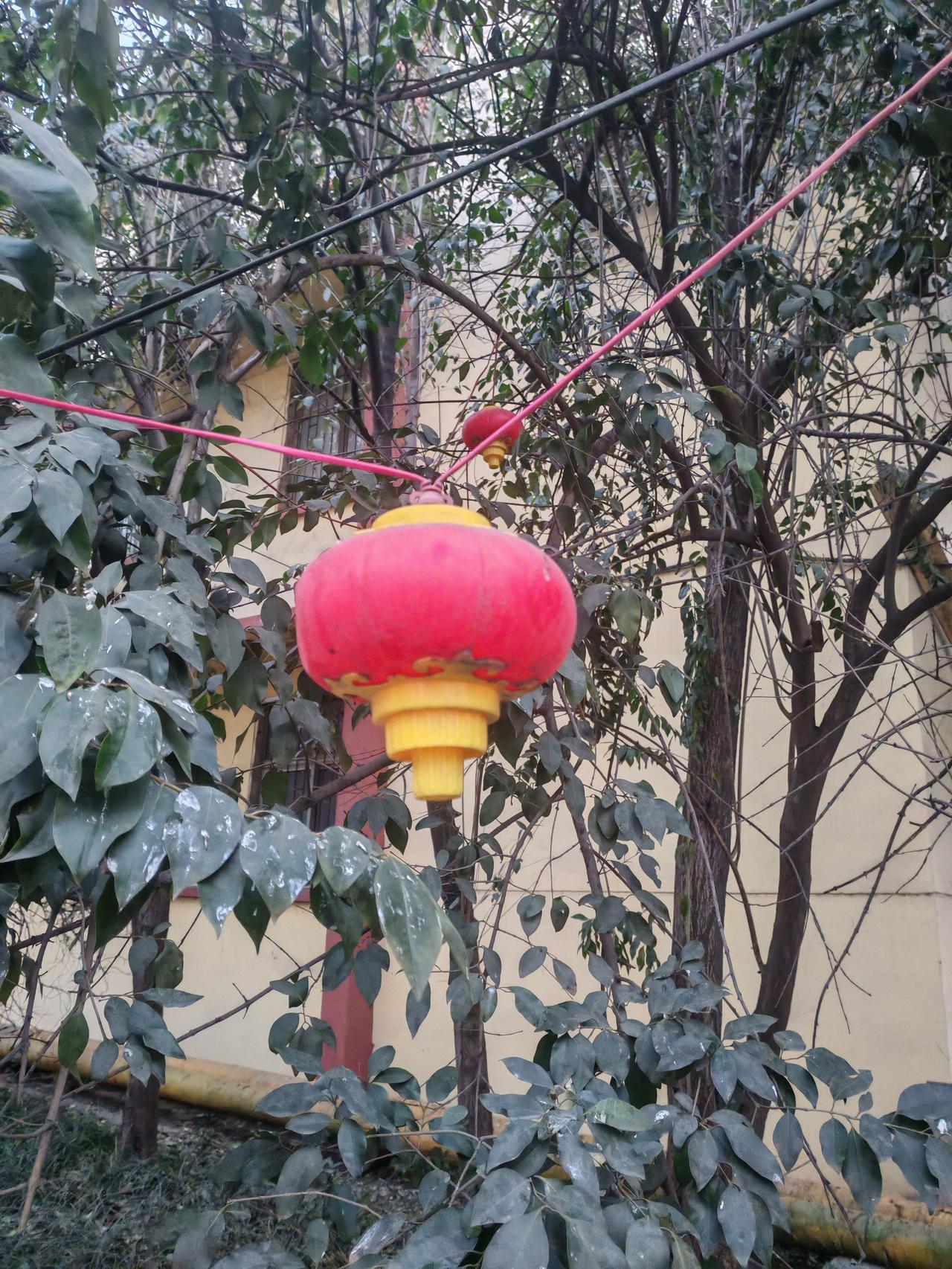 塔利班禁止女生上学这事儿，真的让人怒不可遏！纯纯的人类野兽行为。他们所谓“伊斯