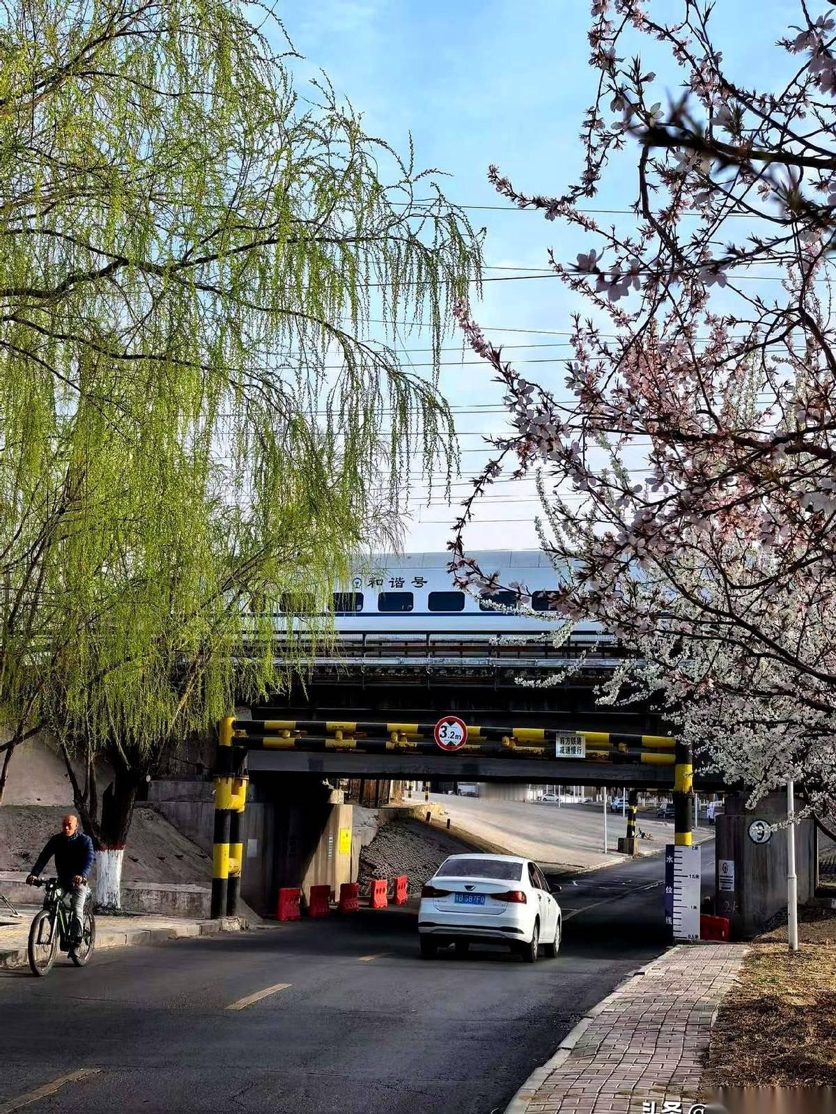 十月份的体检报告，白纸黑字写着：肺部一切正常。才俩月，她就靠在病床上，连手术的