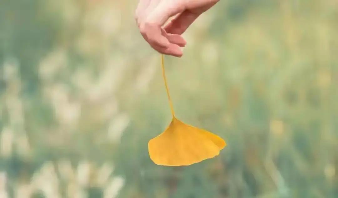 成年子女第一次真正长大，往往不是经济独立那天，而是看透父母平凡的那一刻。前几