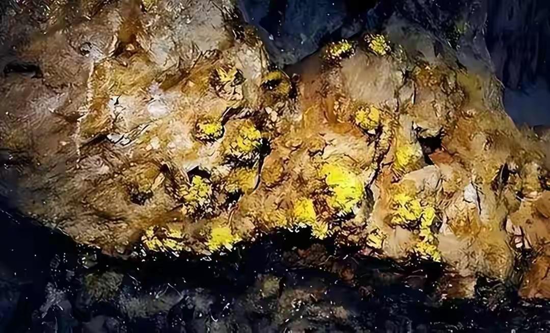 莱州海底挖出“金疙瘩”，意义远超黄金本身最近手机被莱州海底金矿刷屏了。这事有