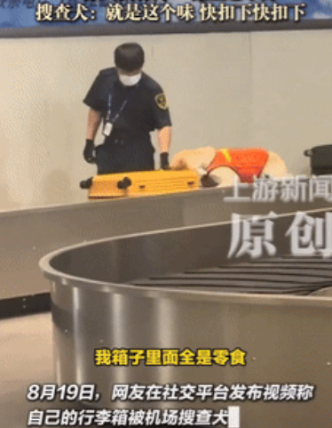 万万没想到！天津，一女子过机场安检时，搜查犬突然盯上她的行李箱，开始疯狂嗅探，工