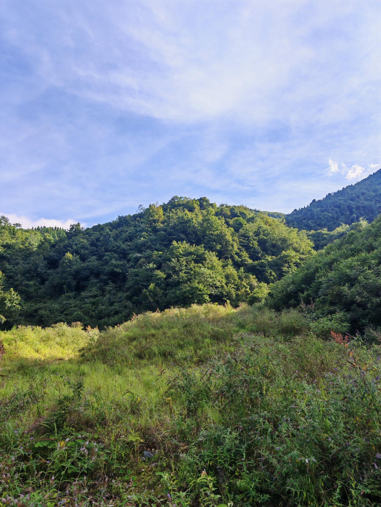 雷山脚尧村茶山天空，美不美你说了算！