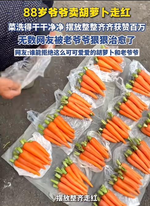 啥是网红，俺不懂！贵州88岁一卖红萝卜大爷突然在网络上走红，当别人问起当网红怎么