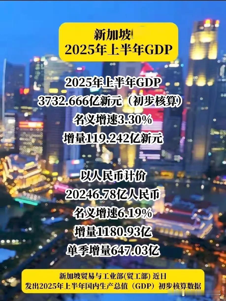 东南亚国家新加坡2025年上半年经济发展水平情况，新加坡上半年GDP为20246