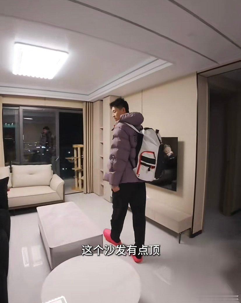 崔永熙在东莞的新家，一人两猫，这小日子过得也很惬意啊