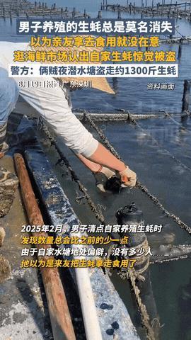 “还是太有钱了！”广东深圳，一男子养殖的生蚝总是凭空消失，原以为是自家人拿去吃了