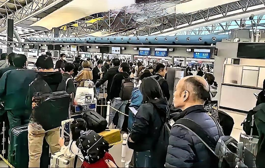 不听劝，瞎折腾，国人该醒醒了。前几天，相关部门发出了预警，能免费退票，而有些