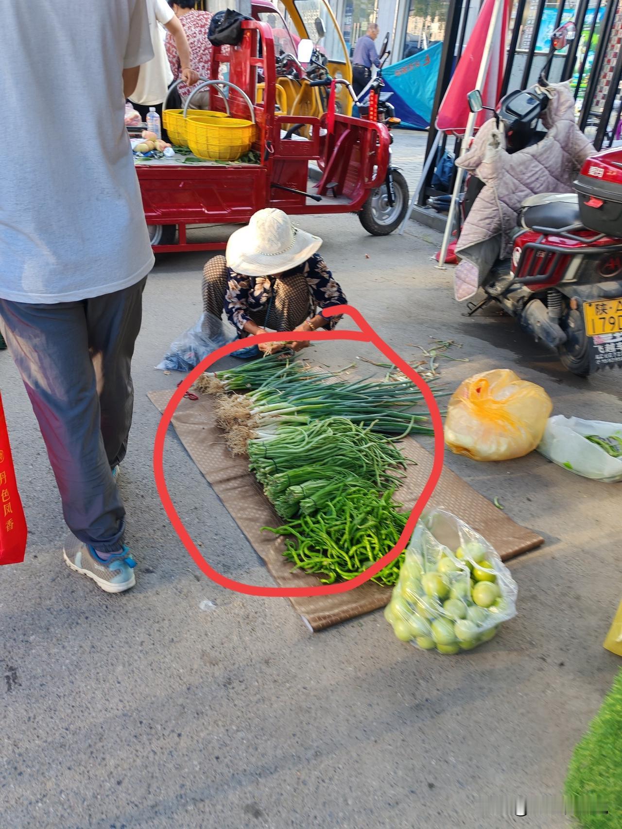 不爱买老年人的蔬菜了8月15日，坐标西安。这是北郊的一个早市，今天早上见到五味