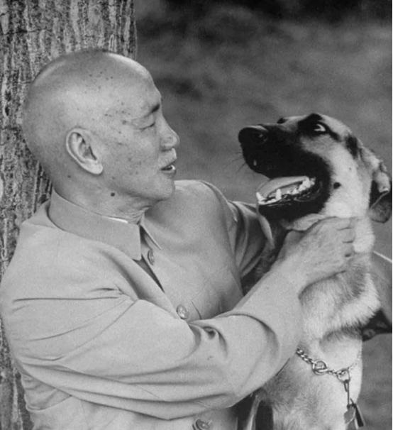 1964年，蒋介石看到老家祖坟的照片安然无恙，直言：毛泽东做的比我好！  